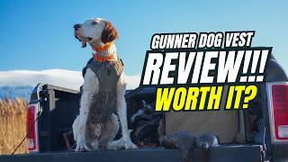 Is The GUNNER Waterfowl Dog Vest Worth $250? | Hunting Dog Vest Review