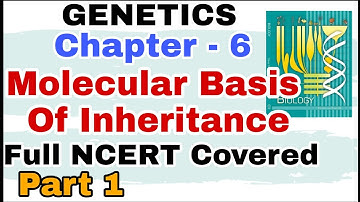 Ch-6 Molecular Basis of Inheritance GENETICS Full NCERT Explanation for Boards and NEET 2019 Part 1