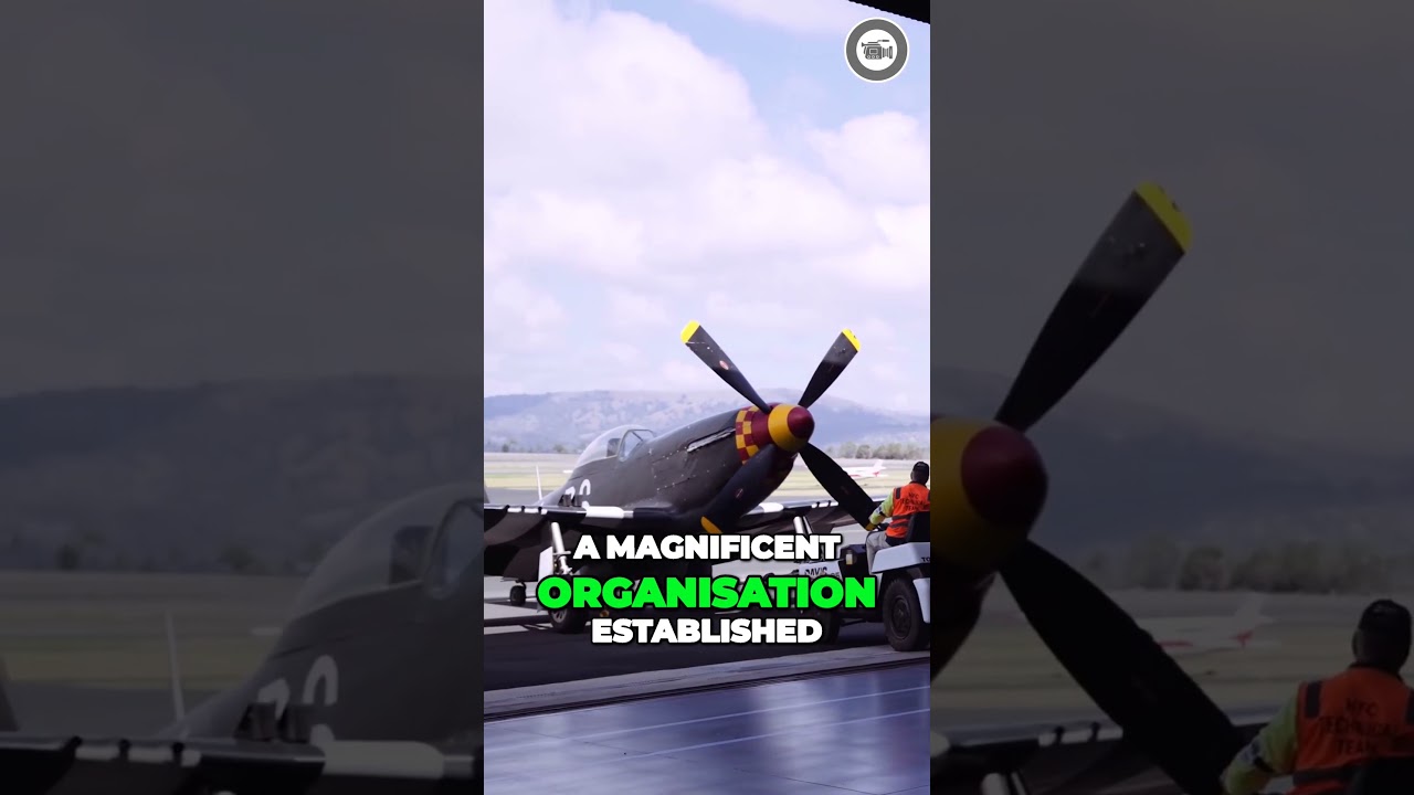 Aviation Adventure at the Hunter Fighter Collection  #aviationhistory #militaryaviationhistory