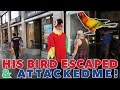 DRESSED AS A PARROT IN PUBLIC! BIRD ATTACKS!