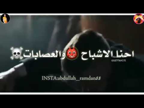 حالات واتس مهرجانات 2019 الاشبال بقو فتوات حسن شاكوش