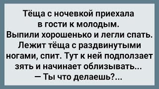 Как Зять Ночью Тещу Облизывал! Сборник Свежих Анекдотов! Юмор!