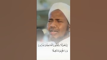الشيخ عبدالرشيد صوفي سورة الإنسان