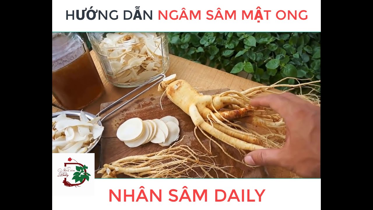 Sâm tươi ngâm mật ong có công dụng gì