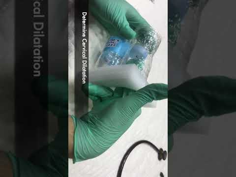 How To Check Cervical Dilation