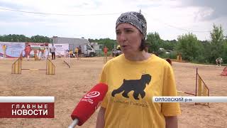 В Орловской области прошли профессиональные соревнования собак В Орловской области прошли профессиональные соревнования собак