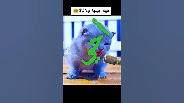 أحي سعدي بولدي 
