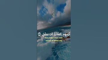 سورة الفيل #قصر_السور #اكسبلور #القزابري #السالمي #المنذر #المصحف #العريفي #كهعص #الرحمن #النقشبندي