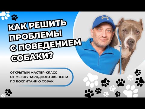 Как решить проблемы с поведением собаки? / Антуан Наджарян