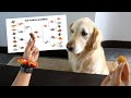 DOG SNACK MARCH MADNESS!