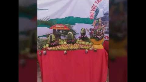 Video giới thiệu về lễ hội trái cây ở Tân Lộc Cần Thơ