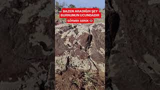 Yılan İşareti (erkek mezarı) 💰 #keşfet #hazineler #defineişaretleri #define #yılan