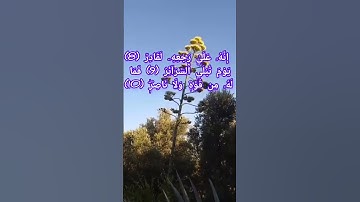سورة الطارق لتسهيل الحفظ #ورش_عن_نافع
