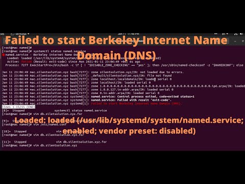 failed to start berkeley internet name domain