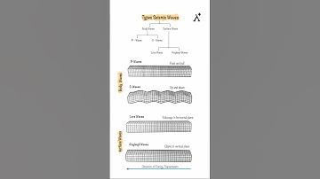 Types of Seismic Waves 🌍💥