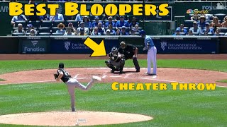 MLB | Funny Blooper 3
