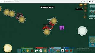 starve.io private server!!!