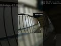 Gunfight & Barricade: Cops vs. Hernandez! Intense Action!