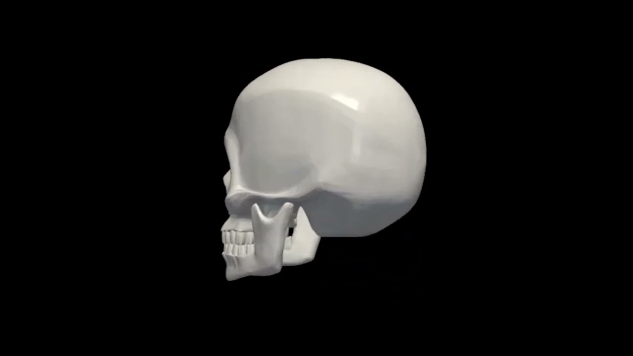 Череп крутится мем