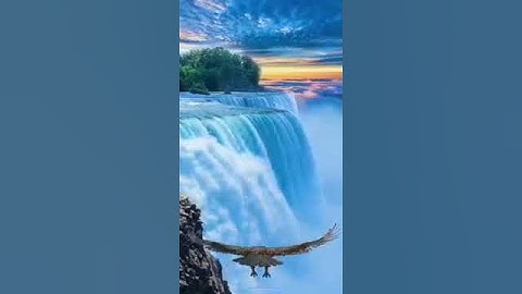 سورة التوبه