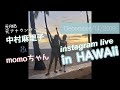 【コラボ】【LIVE】元AKB48中村麻里子さんとmomoちゃんのハワイで2019/12/14【VLOG】