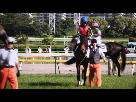 2012 日本ダービー ファンファーレ