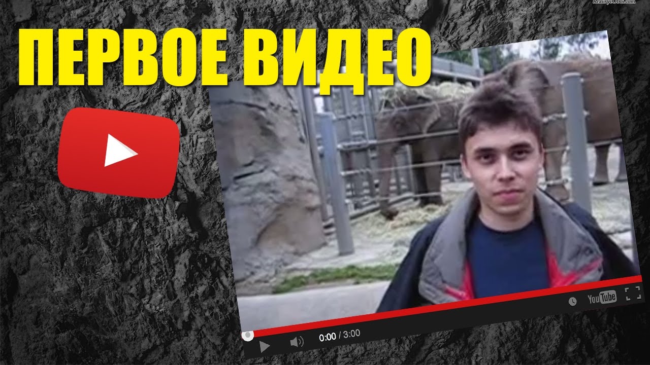 Зоопарк 1 видео. Самый 1 ролик на ютубе. Первое видео youtube. Первый ролик на ютуб зоопарк.