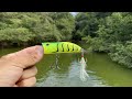 Pesca de Lobina con Popper! | Topwater Bass fishing