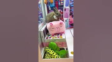Something Weird Got Inside the Claw Machine Part 68 #clawmachine #arcade