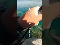春エギングで巨大イカが釣れました #shorts #エギング #釣り