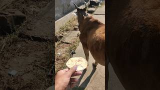 I Loved & You Click Like Om & Subscribe This Channel