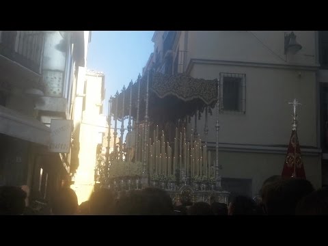 Venerable Hermandad de la Caridad en Cristo Nuestro Señor y Cofradía de Nazarenos del Santísimo Cristo de la Agonía, María Santísima de las Penas, Reina y Madre, y Santo Domingo de la Calzada