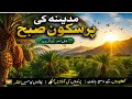 🔴MADINAH DATE FARM VLOG 2026🌴|Near Jabal Uhud Beautiful Nature &amp; Birds Sound |Madina Shareef#madina 