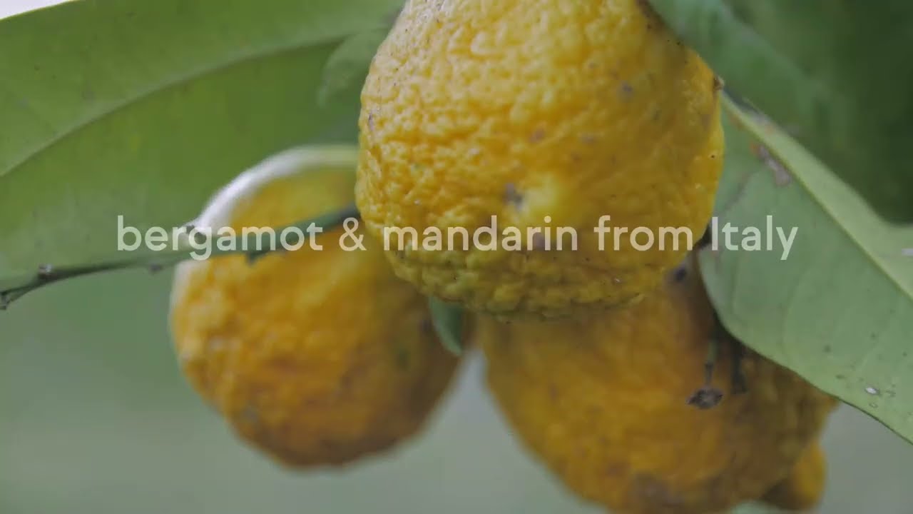 LMR Citrus Organic Collection