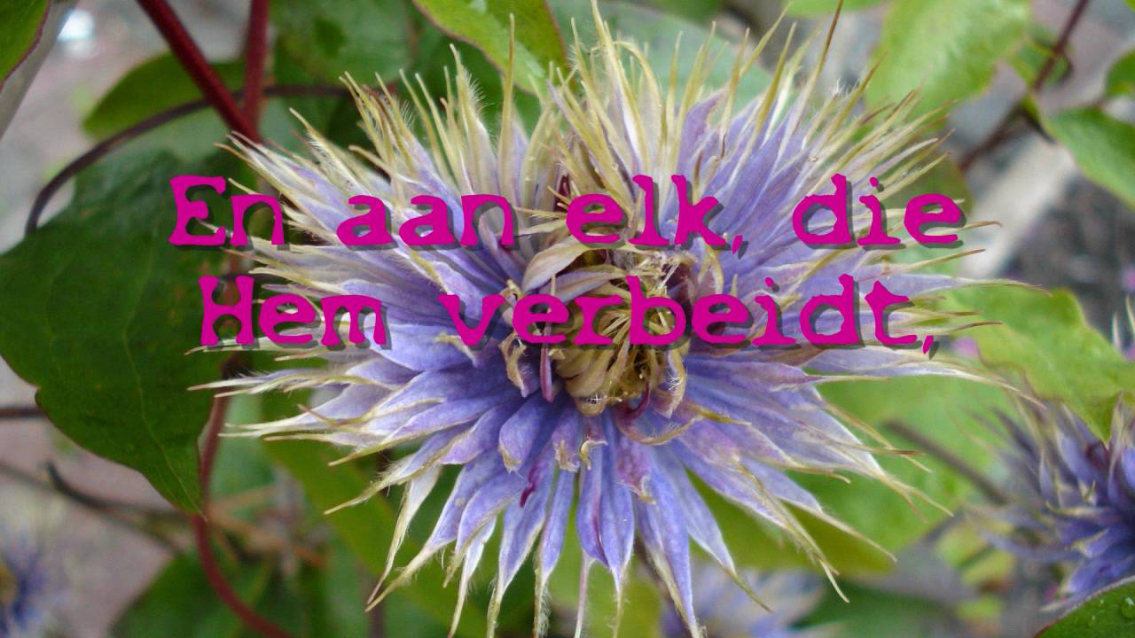 Zalig Hij die in dit Leven Jakobs God ter hulpe heeft; - YouTube