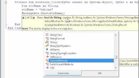 Learning VB.NET (Visual Basics) tutorial 20 - String class