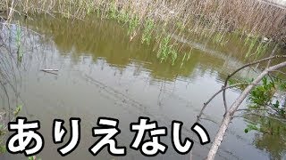 バス釣り 都内で素人はブラックバスを釣れるのか あきる野市くじら池 魚釣り系you Tuberまとめサイト Fishing