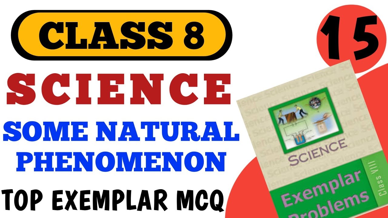 best-mcq-class-8-some-natural-phenomenon-full-chapter-class-8-mcq