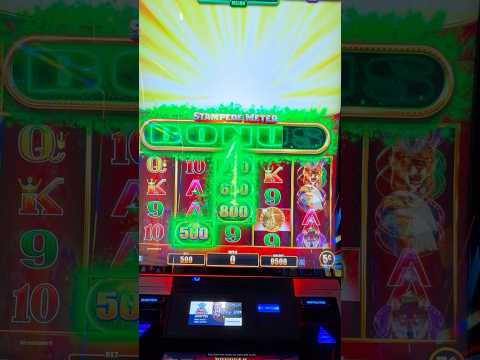 Spill Gates of Olympus Slot Online i Danske Kasinoer - Find Dine Favoritter!