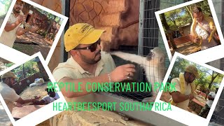Exploring the Enchanting Reptile Conservation Park in Heartbeesport