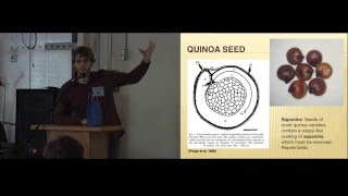 Mushroom farm quinoa growing
