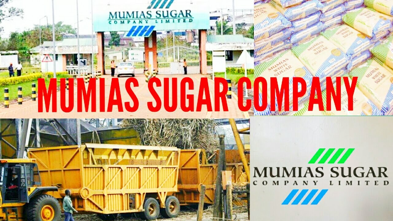 Возродится ли компания Mumias Sugar? Взлёт и падение MSC