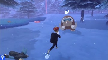 when the shiny is a random encounter