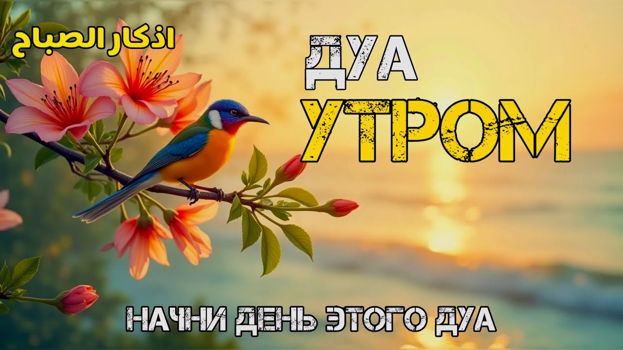 Утренние дуа Рамадан 🌙 | День в безопасности и благословении! 🙏✨ #коран 