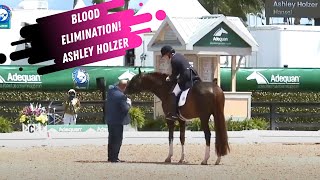 Dressage Disaster: Double Trouble - Blood Elimination For Ashley Holzer