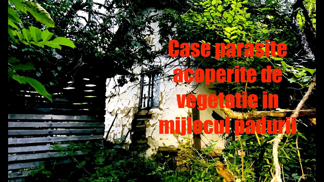 Am gasit cateva case abandonate in mijlocul padurii in zona Bozioru Buzau