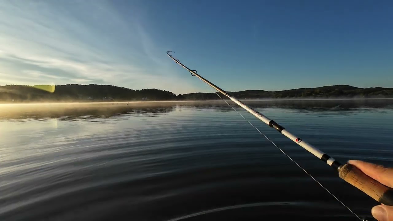 Jagar 🎣 Havsöring.... 