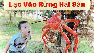 DTVN Vlog : (Tập 178)Bài học nhớ đời cho kẻ giám bắt nạt trẻ trâu(LẠC VÀO RỪNG HẢI SẢN)