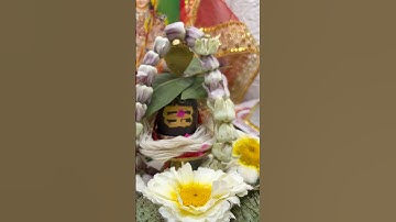 महाशिवरात्रि पर करें लक्ष्मी प्राप्ति का अचूक उपाय ☘️🙏🌺#ytshorts #trending #shorts