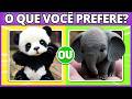 🔄 O QUE VOCÊ PREFERE? Edição: Animais FOFINHOS 🐶🐱🦝 | Qual animal você prefere? #quiz #oqvcprefere